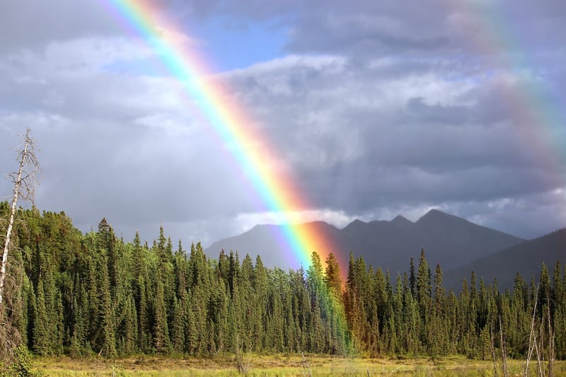 Rainbow Archways
