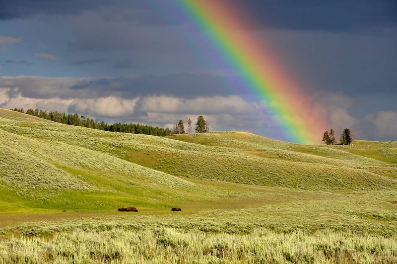 Rainbow Archway